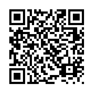 真以为咱们还在乎你这只小猫咪么二维码生成