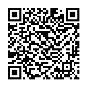 真以为自己拿了一个郡城第一就不知道自己是什么了二维码生成