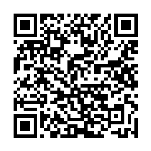 真剑宗到底是怎么将战王门的一百多尊圣级强者灭杀二维码生成