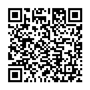 真君不出手就是为了将来让他们三人做替死鬼好对洗月派交代二维码生成