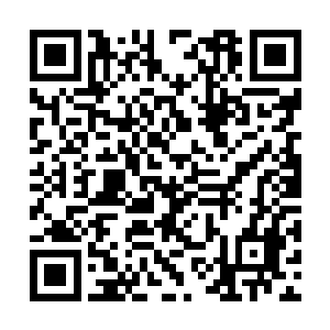 真实到让他忘记了自己是一名躺在宿舍里的大学生二维码生成