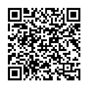 真心的不认为我们再将鬼头太岁切下还有什么意义二维码生成