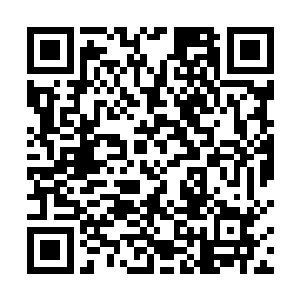 真时可没看出来除了你他还对部落其他哪个女孩好一点二维码生成