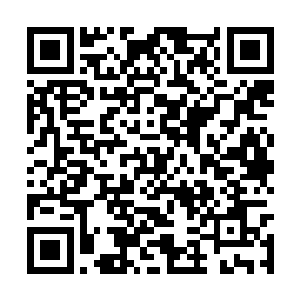 真是七嘴八舌的后悔当年读书的时候怎么没念外语二维码生成