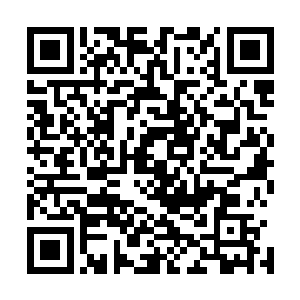 真是在门派吃吃喝喝这些年将自己的身子骨也掏了个干净了二维码生成