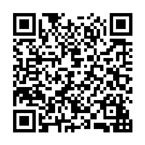 真是没有想到金甲蛮虫变异成功之后发生如此大的变化二维码生成