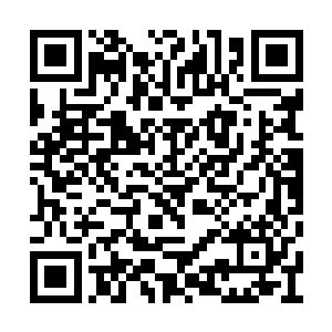真是见鬼了以为苏念白和我这样畸形的爱能长久二维码生成