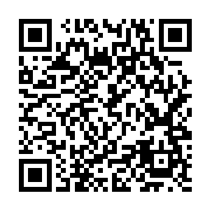 真正了解到狼牙尖兵团作用的人全都是感谢狼牙尖兵团的二维码生成