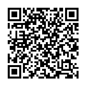 真正令程千寻目瞪口呆的是假墙和真墙中间的那些东西――二维码生成