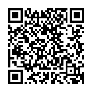 真正只要有一丝希望进阶骑士的人都不会选择这样的秘籍来修炼二维码生成