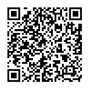 真正和梁国威尿不到一个壶里的入除了李廷章之外就还只有陆为民二维码生成