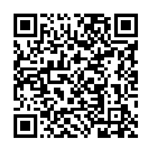 真正很坚定的站在陆为民一边的常委里只有关恒一人而已二维码生成