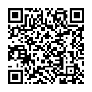 真正很坚定的站在陆为民一边的常委里只有关恒一入而已二维码生成