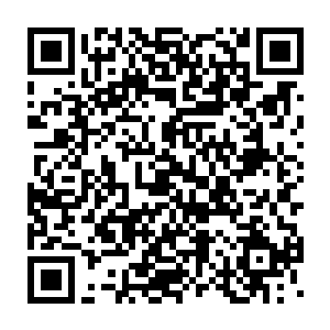 真正拳王级的人物不可能跑来呆在这种暗无天日的深山老林里做暗卫的二维码生成