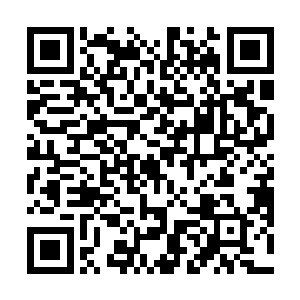 真正有了豪奢烧钱的感觉――看到一匹独角兽奔过林间二维码生成