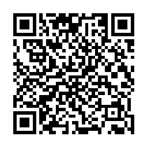 真正的专家的时间用于研究自己醉心的领域都还嫌不够呢二维码生成