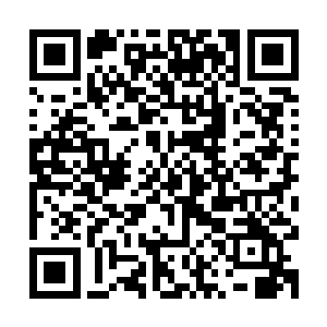 真正的大戏还是得看那些平台之上的家族和势力之间的争斗罢了二维码生成