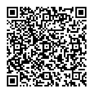 真正的权力早被内阁那几个老谋深算的东西给把控了……叶限的目光不由得落在第二排穿绯色官服的陈彦允身上二维码生成