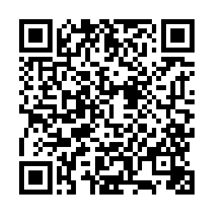 真正的深渊魔族的精锐可都是集中在深渊世界的第九重的二维码生成