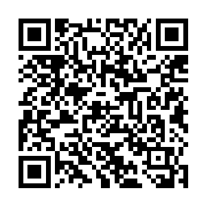 真正的真相只有公羊杰兴和主家他的血脉最亲近者知道二维码生成