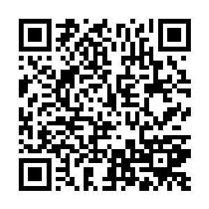真正的重头戏还是在于平台上方那些家族之间的争斗二维码生成
