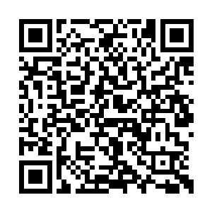 真正的阻碍的承载天地规则之力的大道石很难找二维码生成