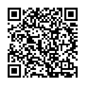 真正的高阶魔族修士此时都在黑幕仙城中修炼或者享乐二维码生成