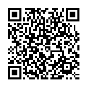 真正能吃的肉在贝海看来也就是差不多一只普通的小公鸡这么大二维码生成