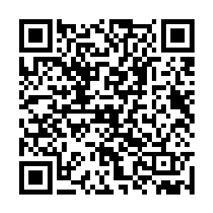 真正能够威胁到他的人也只有血手人魔涂三一个人二维码生成