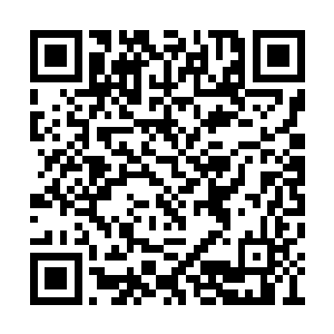 真正能够给他们压力的人只有地级大圆满的高手二维码生成