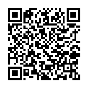 真正要说具体工作还得是两个业务副局长来介绍二维码生成