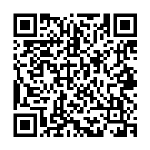 真正让石门感觉到巨大灵力波动的却是这个阵法幻化出来的巨龙二维码生成