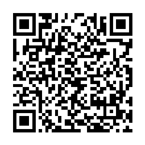 真气以迅雷不及掩耳之势席卷了药王的经脉和丹田二维码生成