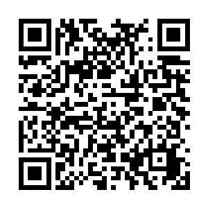 真没想到今天一开场就看到两部这么好看的舞台剧二维码生成
