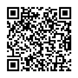 真没有想到这些能力拥有者也会搞什么比武的庸俗玩意二维码生成