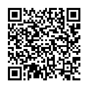 真的……非常感谢……虽然不知道你和马文男爵是什么关系二维码生成