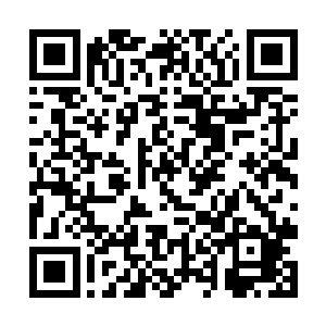 真的不会对他的大脑造成什么……永久性的损伤之类二维码生成