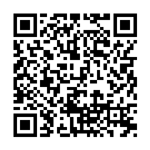 真的以为那种级别的时空法器能影响得了我的术二维码生成