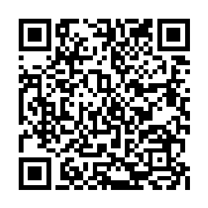 真的想要从大型斗灵风暴当中得到斗灵牌太难了二维码生成