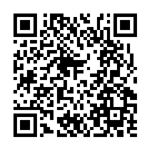 真的打下去林铭能不能坚持到最后他们心里都没底二维码生成