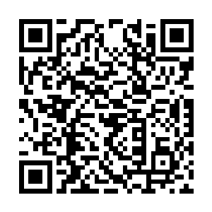 真的是没有一刻比这一刻更感到物是人非的真实感二维码生成
