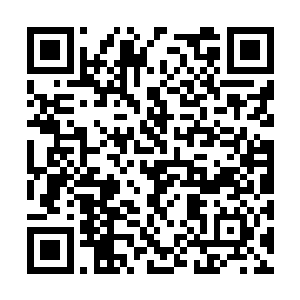 真的是田蜜让我去参加慈善拍卖所以才暂时离开的二维码生成