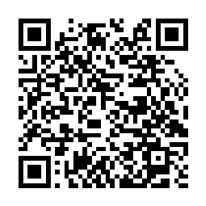 真的是离州剑院那个仅有十段巅峰的下品剑派弟子二维码生成