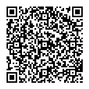 真的是脑细胞都不知道想死了多少…………幸好晚上还有个小哑巴可以暖脚…………岳飞却沉吟道二维码生成