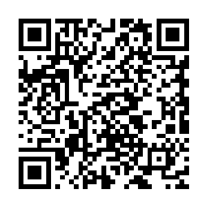 真的能够在面对阿尔这样的资深演员时爆发出精彩绝伦的演技吗二维码生成