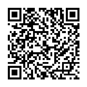 真的要陪这两个战斗力加起来都不到三万的家伙玩吗二维码生成