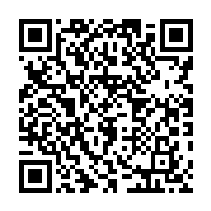 真的遴选出了一批懵懂无知的儿童和青少年登上移民星舰二维码生成