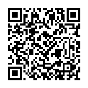 真看到已经在古圣界缭绕了十万年的正气和天理二维码生成