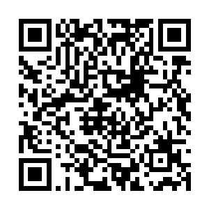 真真叫大海捞针的从海底用各种烧钱的技术找油田二维码生成