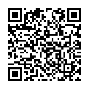 真羡慕……可我没这份才情……孟奇表面不动声色二维码生成
